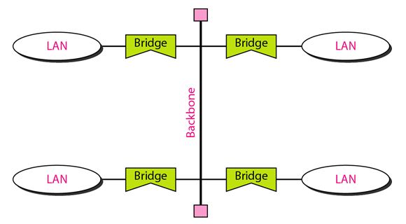 bus backbone networks